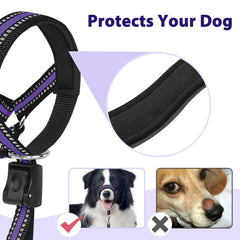 BARKLESS no-pull head halter with adjustable strap for easy fitting.