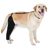 BARKLESS rear leg sleeve protecting wounds while keeping the paw free for movement