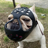 BARKLESS short snout muzzle front view promotes breathable wear for brachycephalic dogs.