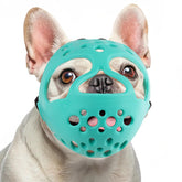 BARKLESS short-snout muzzle on a dog for safe training and control.