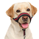 BARKLESS Soft Dog Head Collar with plush nose pad for comfortable walks.