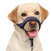 BARKLESS soft head collar with padded nose for gentle control during walks.