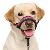 BARKLESS soft dog head collar pink with padded nose pads for gentle training.
