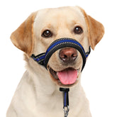 BARKLESS soft head collar in blue provides gentle control during walks.