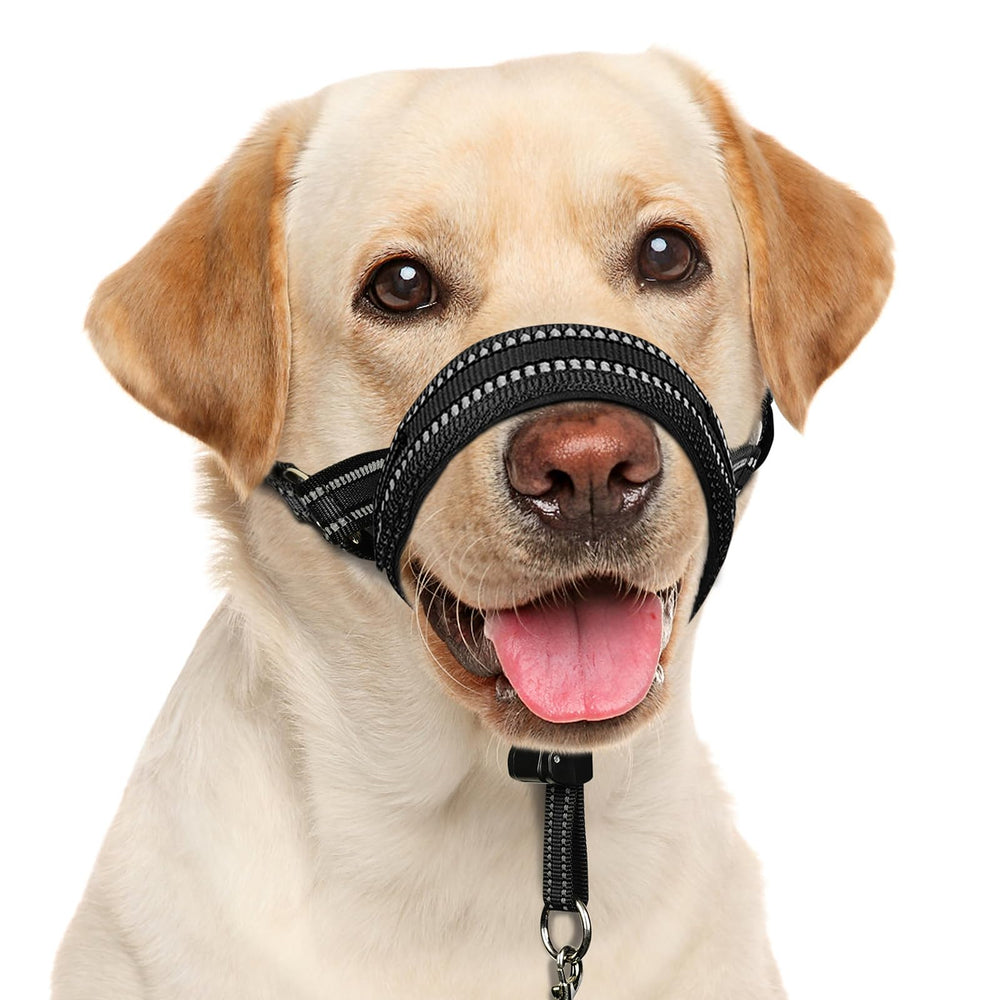 BARKLESS Soft Head Collar with nose pads cushions the nose during walks.