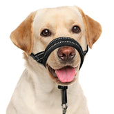 BARKLESS Soft Head Collar with nose pads cushions the nose during walks.