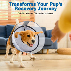 BARKLESS soft pillow-like donut collar promotes comfortable recovery with clear visibility