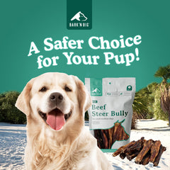 BARK'N BIG Thick Steer Sticks packfront, USA-made chew time with trusted ingredients.