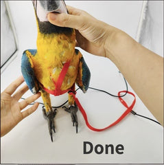 Barn Eleven strap detail near feathers offers gentle fit for birds.