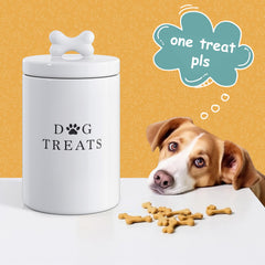 Barnyard Designs durable ceramic storage jar with moisture-resistant seal.