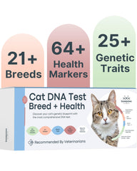 Basepaws cat DNA test kit packaging shows easy setup for quick sample collection
