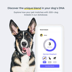 Basepaws DNA kit swab in use for dog sample collection.