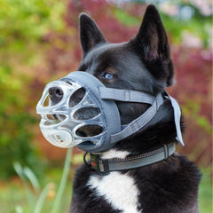 Baskerville INVISA muzzle with padded nose band for added comfort