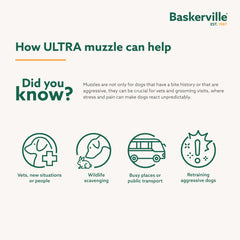 Baskerville Ultra Muzzle headstrap and clip providing added security during training.