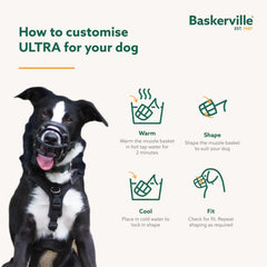 Baskerville Ultra Muzzle padded straps emphasize gentle contact and easy wear.