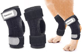 Bawektrl dog hock brace front view showing rear leg support for recovery