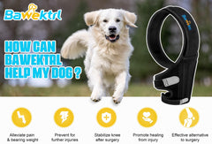 Bawektrl knee brace offers 360-degree fit for stable hind leg support.
