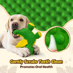 BBeary Squeaky Dragon Toy crinkle wings for engaging sounds