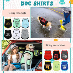 BBTO pullover dog shirt demonstrates easy wear for picky pets