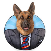BEAUTYZOO donut-collar wide-fit shows comfortable neck protection for dogs.
