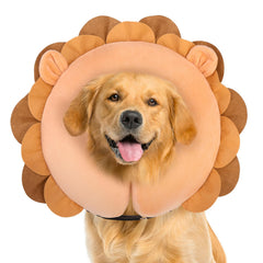 BEAUTYZOO donut neck collar close-up showing soft neck support after surgery.