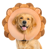 BEAUTYZOO Lion donut neck collar for dogs provides gentle protection around wounds