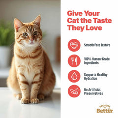 Because It’s Better pâté pouch being poured, showing serving-friendly texture.