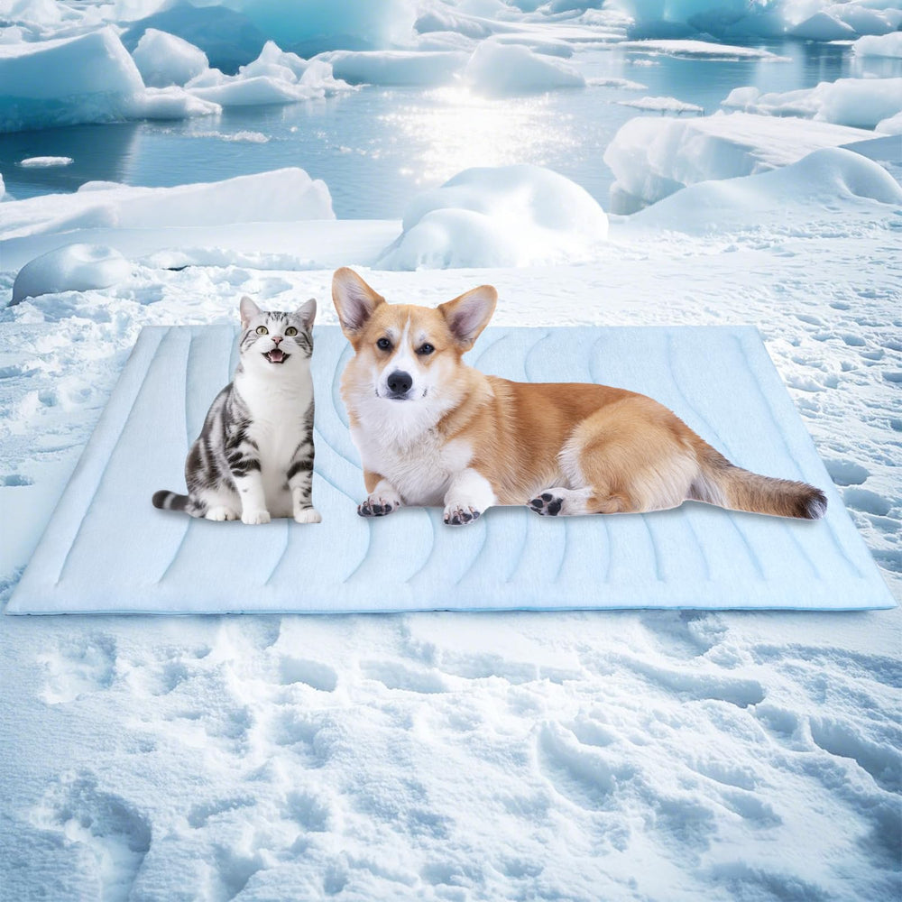 BECEMURU dog cooling mat 36x23 on the floor provides a refreshing rest.