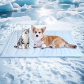 BECEMURU dog cooling mat 36x23 on the floor provides a refreshing rest.