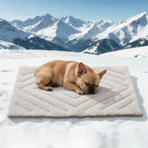 BECROWM dog cooling mat self-cooling foldable for easy setup.