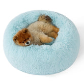 Bedsure calming donut bed in aqua blue offers a secure curl-up space for small dogs.