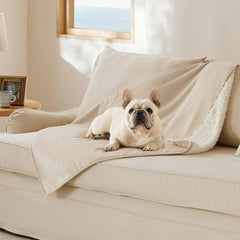 Bedsure cat blanket with waterproof inner lining protects furniture from spills.