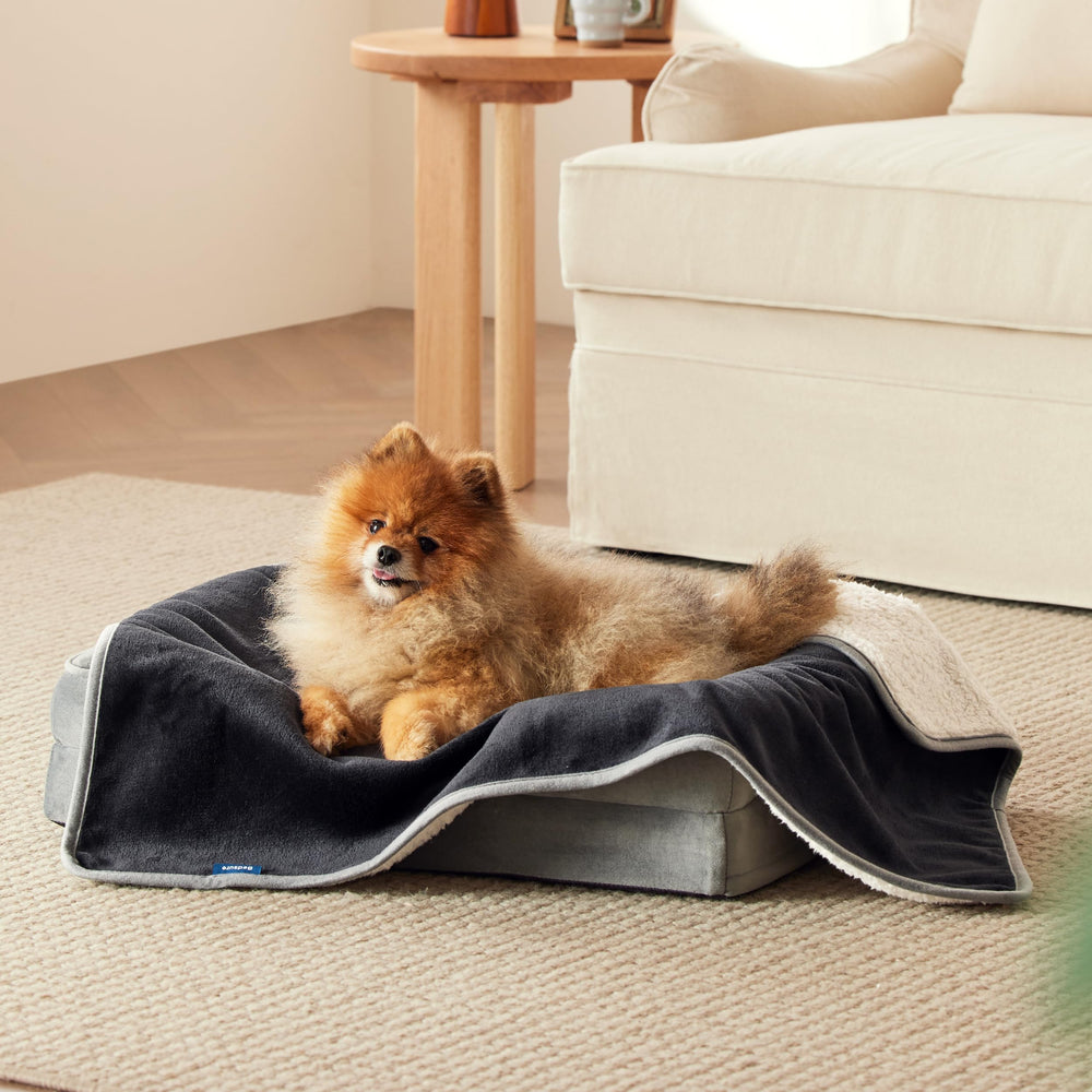 Bedsure cat blanket waterproof sherpa keeps furniture dry and warm