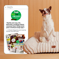 Bedsure ComfyFleece cat couch backrest detail emphasizes supportive design
