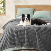 Bedsure ComfyFleece waterproof blanket on bed protects furniture and keeps pets warm.