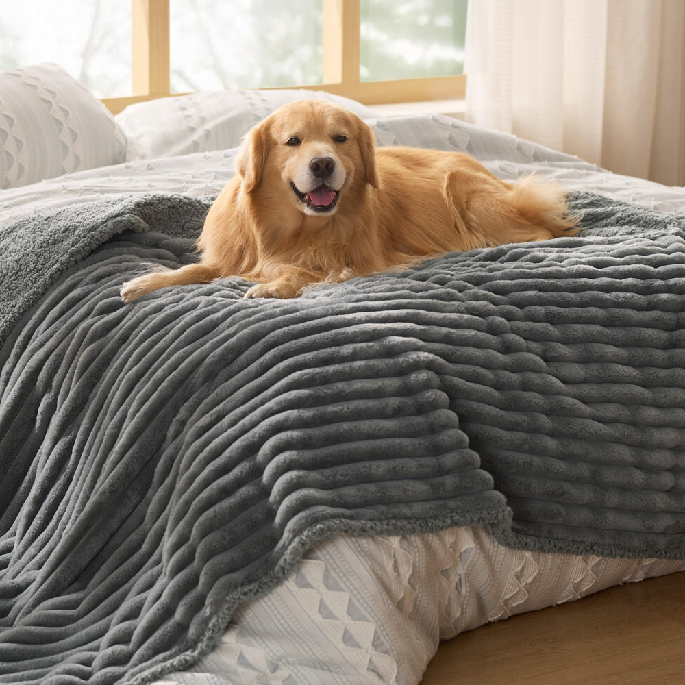 Bedsure ComfyFleece waterproof dog blanket protects furniture from spills and fur