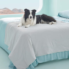 Bedsure premium cooling blanket for dogs 50x60 on bed keeps pets comfortable.