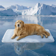 Bedsure cooling dog mat extra large blue, top view showing spacious lounging for large pets