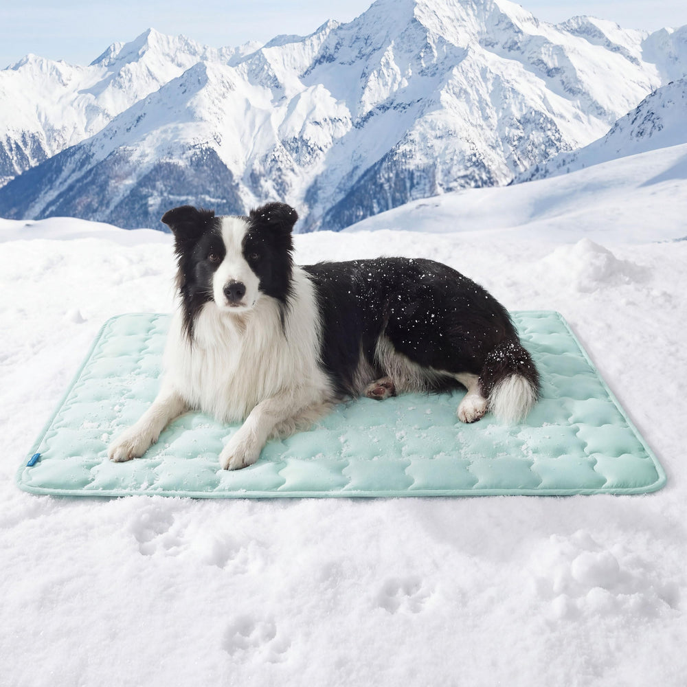 Bedsure cooling dog mat xl showing instant cooling for hot days.