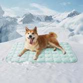 Bedsure cooling mat for large dogs showing instant cooling and comfort