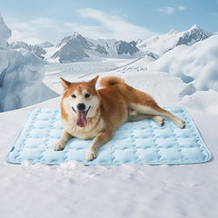 Bedsure cooling mat for large dogs in blue setup provides instant relief on hot days.
