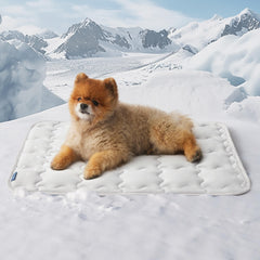 Bedsure cooling mat for small dog 24x18 grey shows instant cooling for active pets.