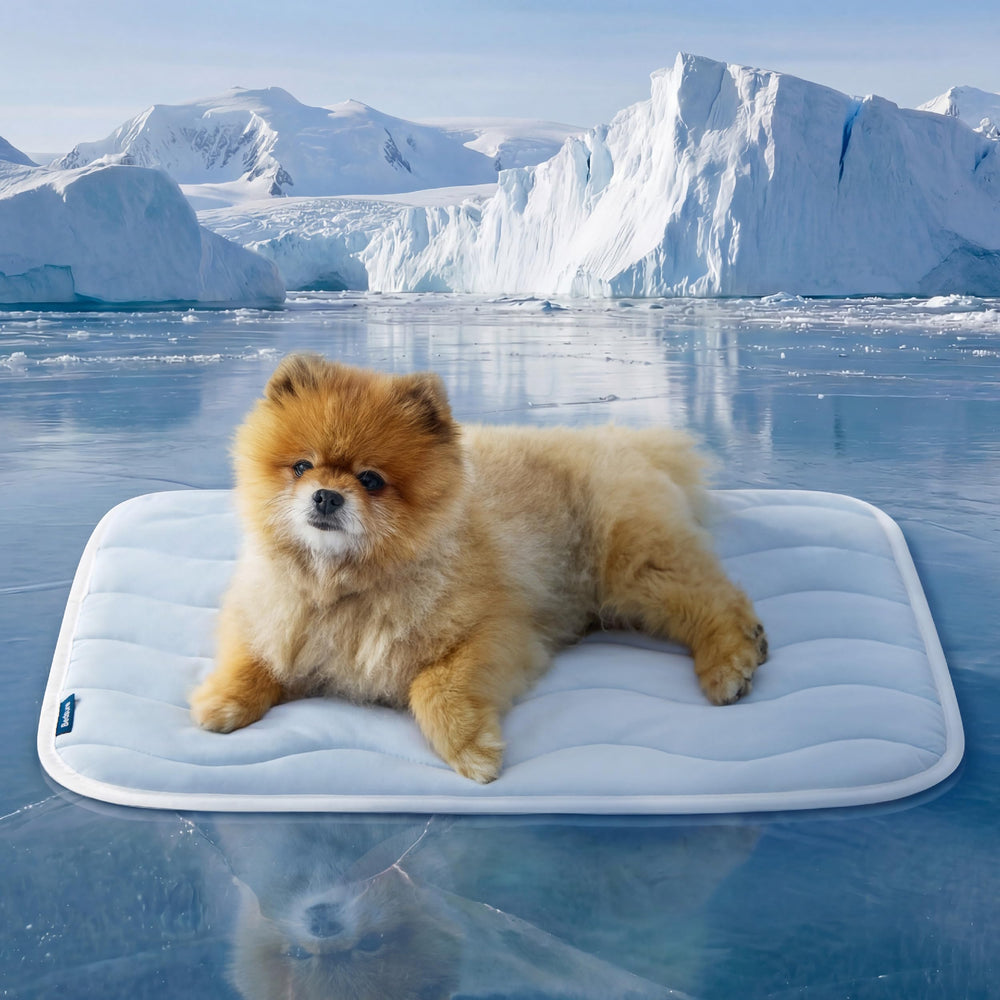 Bedsure cooling mat for small dogs close-up of cool fabric showing instant refreshment