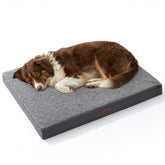 Bedsure large dog bed with egg crate foam for supported lounging.