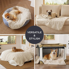 Bedsure dog blanket living room decor complements home style