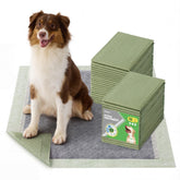 Bedsure extra large dog pee pad showing rapid absorption for dry surfaces