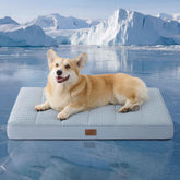 Bedsure orthopedic cooling dog bed, crate top view, cool surface for comfortable rest