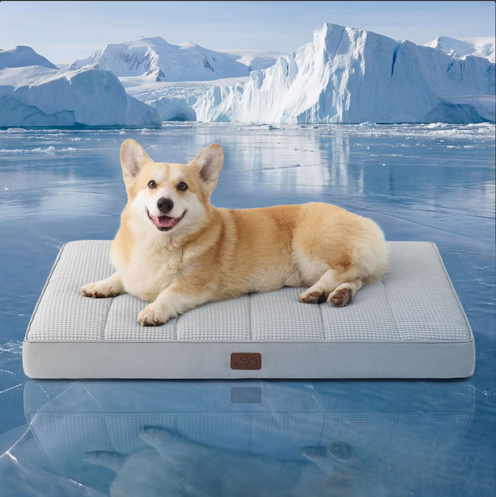 Bedsure orthopedic cooling dog bed crate top view shows cooling surface.