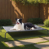 Bedsure outdoor elevated dog bed in grey, roomy all-weather lounging for pets