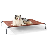 Bedsure Outdoor Elevated XL Dog Bed poolside keeps your dog cool and dry
